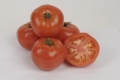 Tomates BIO
